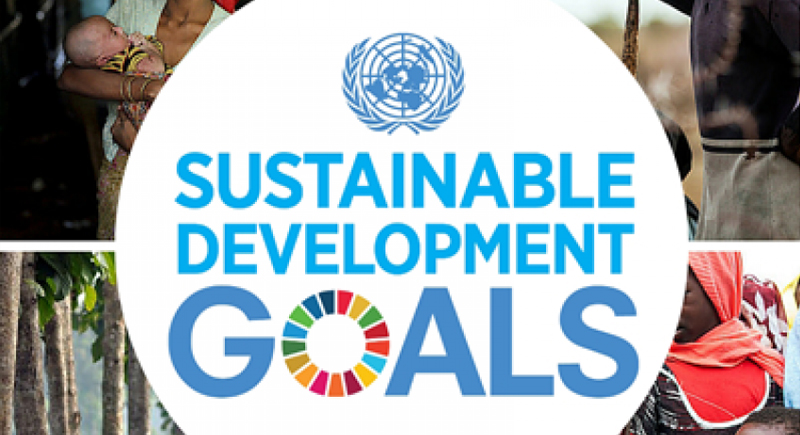 What do the UN's 17 SDGs mean for India in the short term?